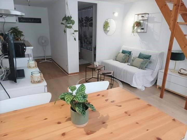 Bed and Breakfast Duplex A La Gare Du Mans Le Mans Exterior foto